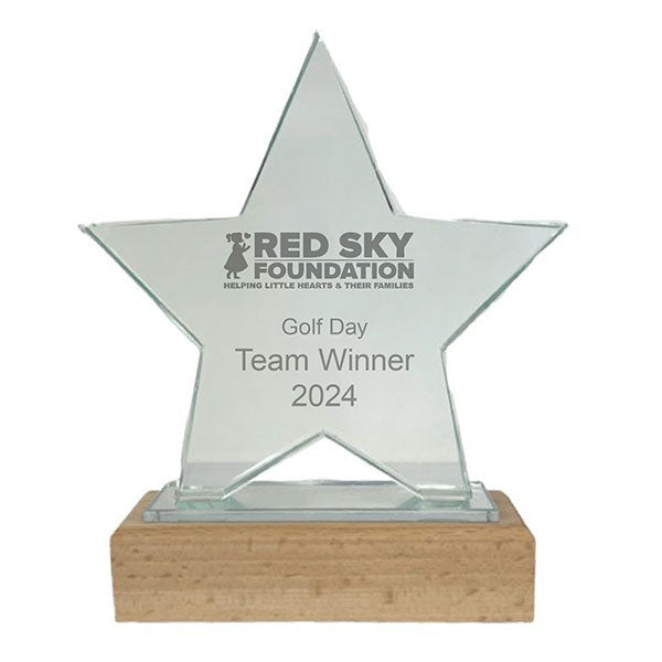 Promotional 16cm Glass Star Award