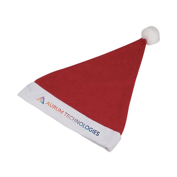 Promotional Promotional Santa Hat