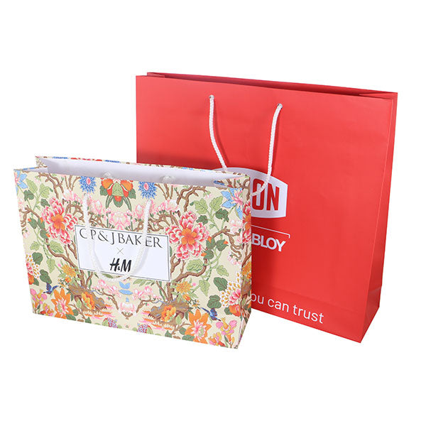 Promotional Landscape Laminated Paper Carrier Bag - Small