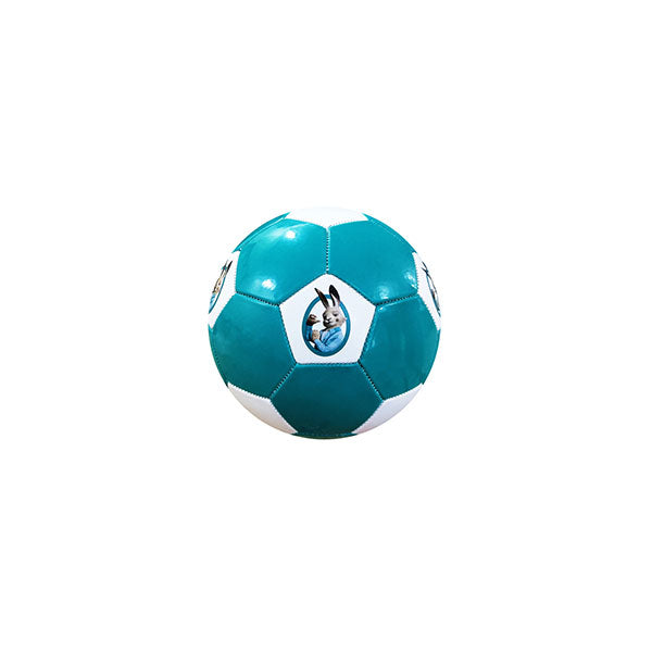 Promotional Full Size Promotional Football - Full Colour