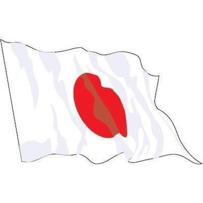 Japanese Flag