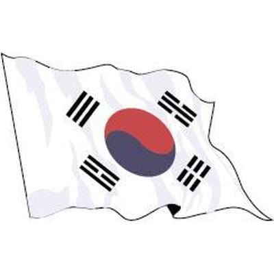 South Korea Flag